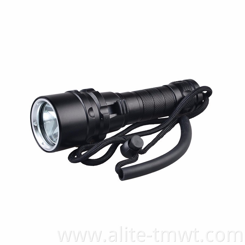 Wholesales Waterproof IP68 18650 Powered T6 1200 Lumen Led Diving Torch Light